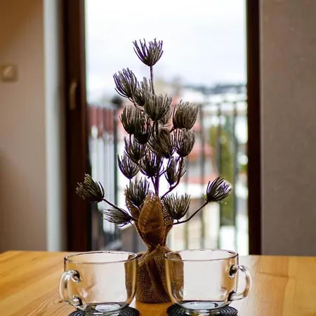 Apartman Taternik - Mountain View - Family Room&104 *